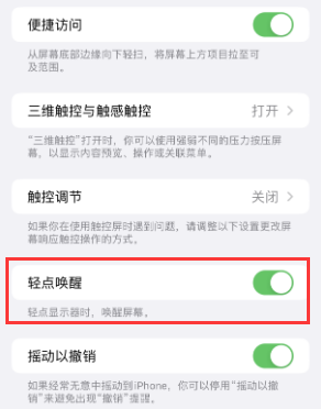 安源苹果授权维修站分享iPhone轻点无法唤醒怎么办 