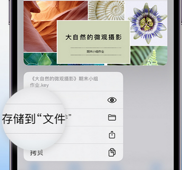 安源apple维修中心分享iPhone文件应用中存储和找到下载文件