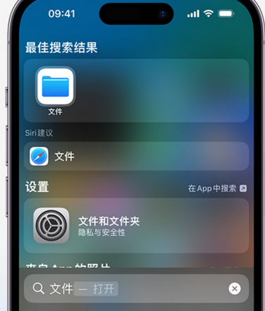 安源apple维修中心分享iPhone文件应用中存储和找到下载文件 