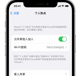 安源apple服务站点分享iPhone上个人热点丢失了怎么办 