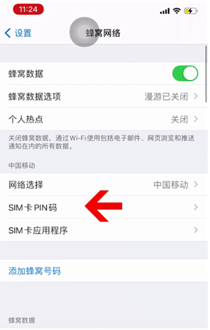 安源苹果14维修网分享如何给iPhone14的SIM卡设置密码 