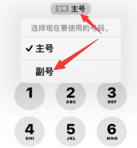 安源苹果14维修店分享iPhone 14 Pro Max使用副卡打电话的方法 