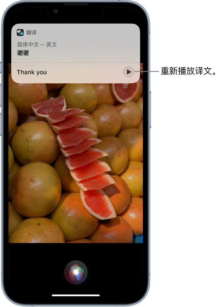 安源苹果14维修分享 iPhone 14 机型中使用 Siri：了解 Siri 能帮你做什么 