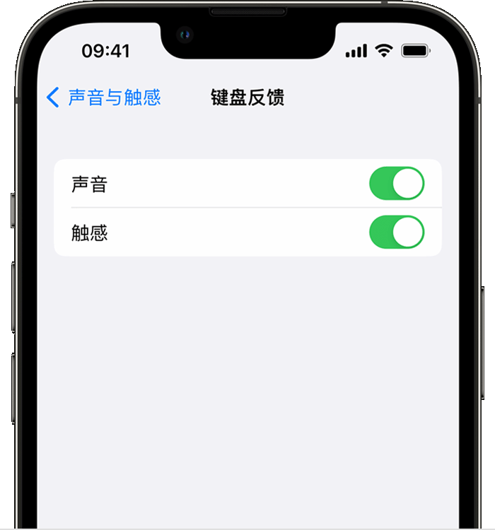 安源苹果14维修分享iPhone 14 系列机型如何开启键盘声音或触感反馈 