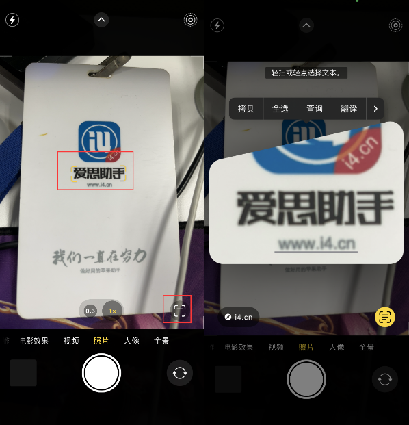 安源苹果手机维修分享升级iOS 16后如何通过相机翻译文本 