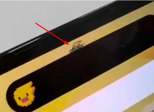 安源苹果14维修分享iPhone 14 Pro Max灵动岛怎么养宠物 