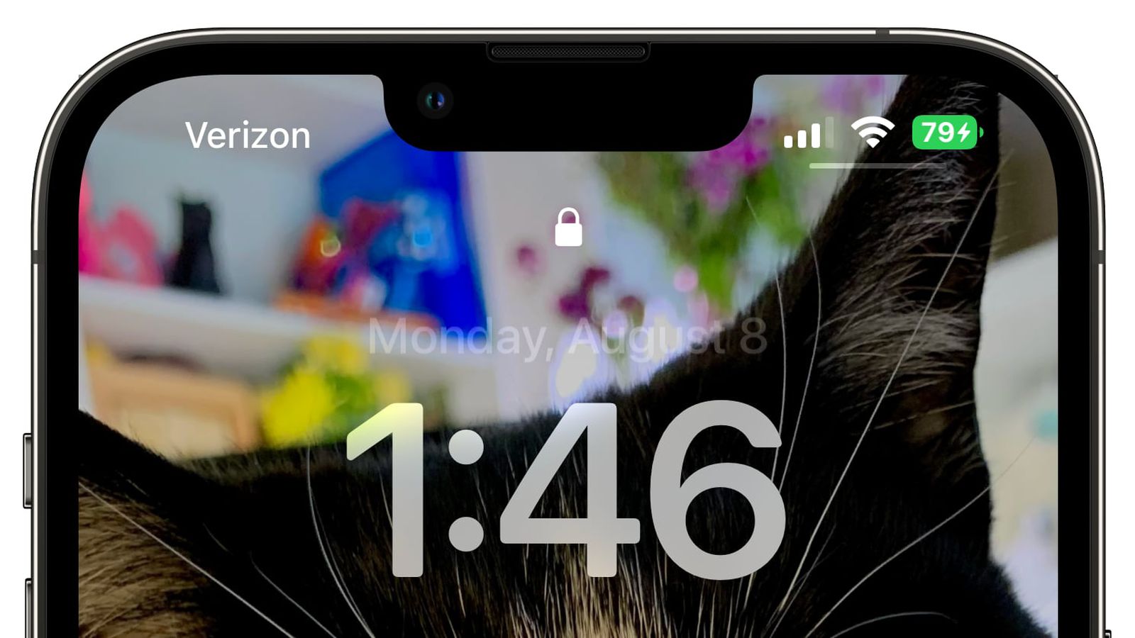 安源苹果手机维修分享iOS 16 beta 5 支持状态栏显示电池百分比，如何开启？支持哪些机型 