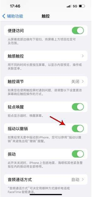 安源苹果手机维修分享iPhone手机如何设置摇一摇删除文字 