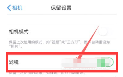 安源苹果13维修分享iPhone13拍照有绿点是怎么回事 