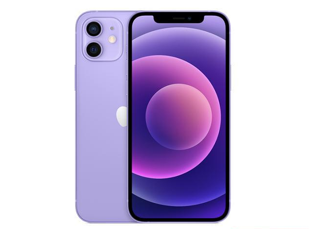 安源苹果手机维修分享现阶段要不要入手紫色版iPhone12 