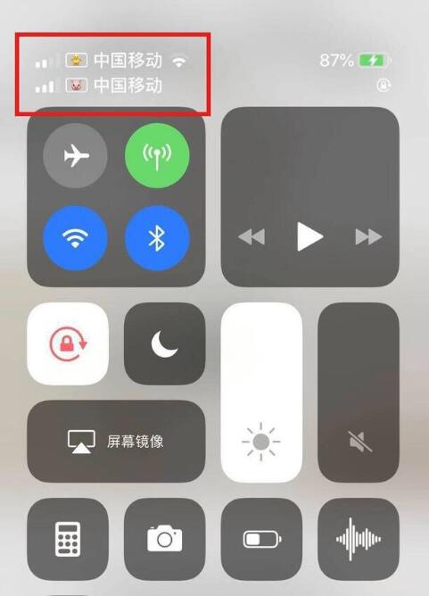 安源苹果手机维修分享为 iPhone 12 双卡设置标签 
