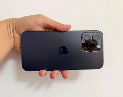 安源苹果维修点分享iPhone 14 Pro Max发烫多重诱因剖析 